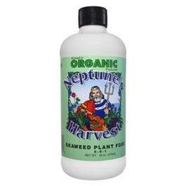 Neptun's Ernte, Bio-Algen-Pflanzennahrung, 16-oz.