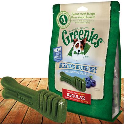 Greenies, GREENIES™ Blaubeergeschmack TEENIE™ Hundezahnpflegemittel