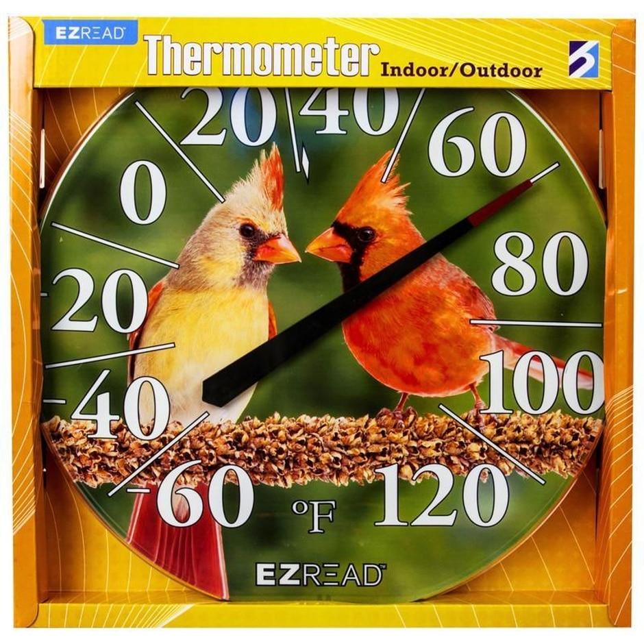 EZREAD, Gegenwind Ezread Zeigerthermometer