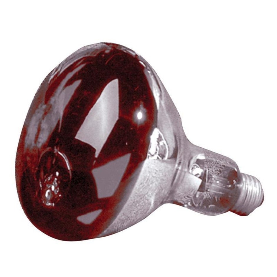 Satco Produkte, Inc., HEIZLAMPE BULB