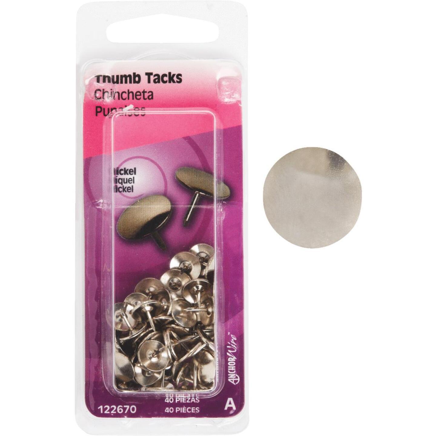 Bergmann, Hillman Anchor Wire Nickel 23/64 In. x 15/64 In. Thumb Tack (40 Stck.)