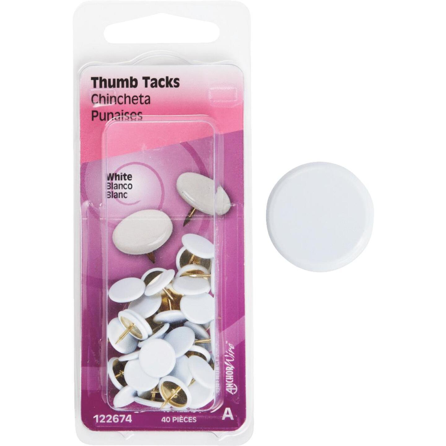 Bergmann, Hillman Ankerdraht Weiß 23/64 In. x 15/64 In. Thumb Tack (40 Ct.)