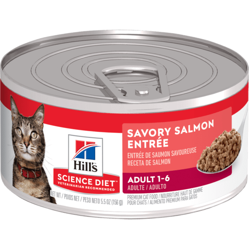 Hill's Tiernahrung, Hill's® Science Diet® Adult Savory Salmon Entrée Nassfutter für Katzen