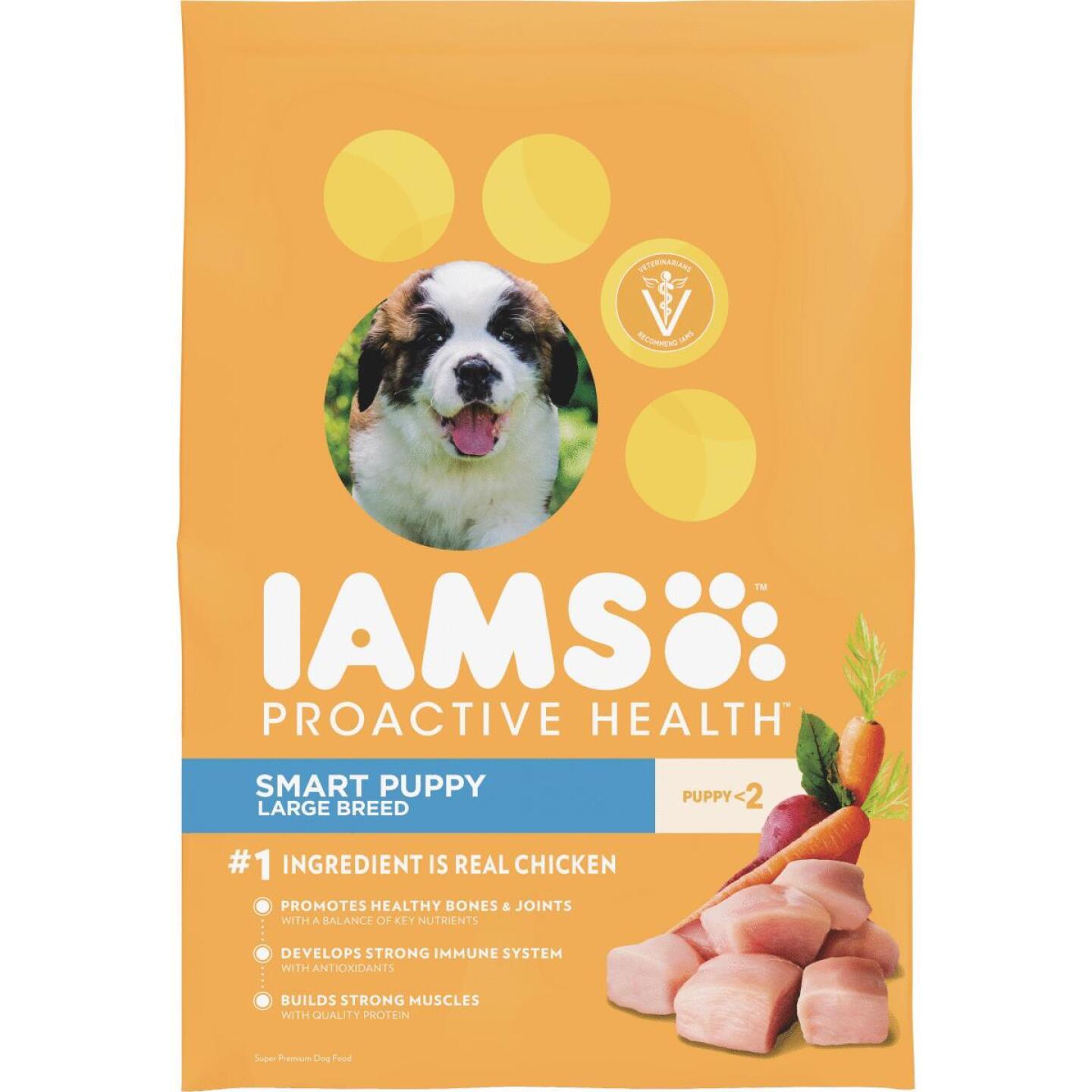 IAMS, IAMS Proactive Health Smart Puppy Große Rassen 15 lb. Hundetrockenfutter