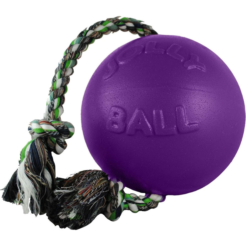 Jolly Haustiere, JOLLY PETS ROMP-N-ROLL BALL