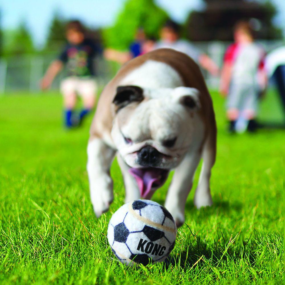 KONG, KONG Assorted Sports Balls Hundespielzeug