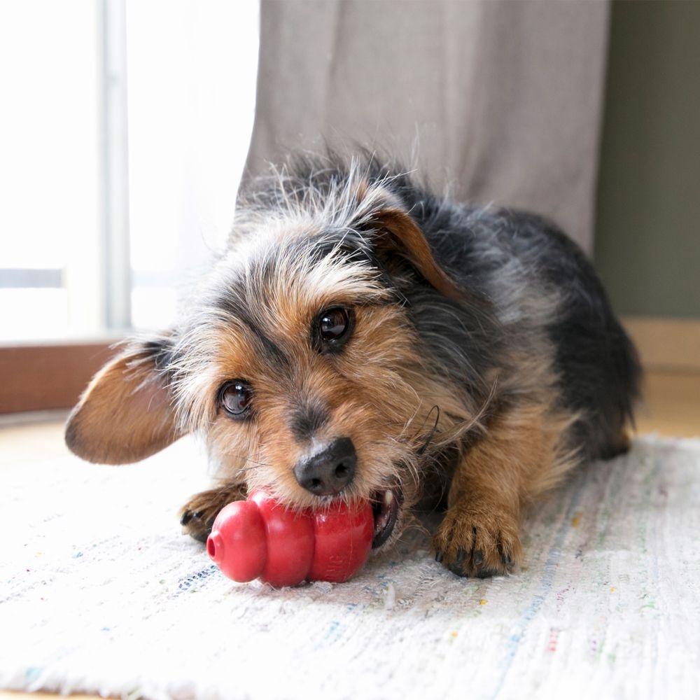 KONG, KONG Classic Hundespielzeug