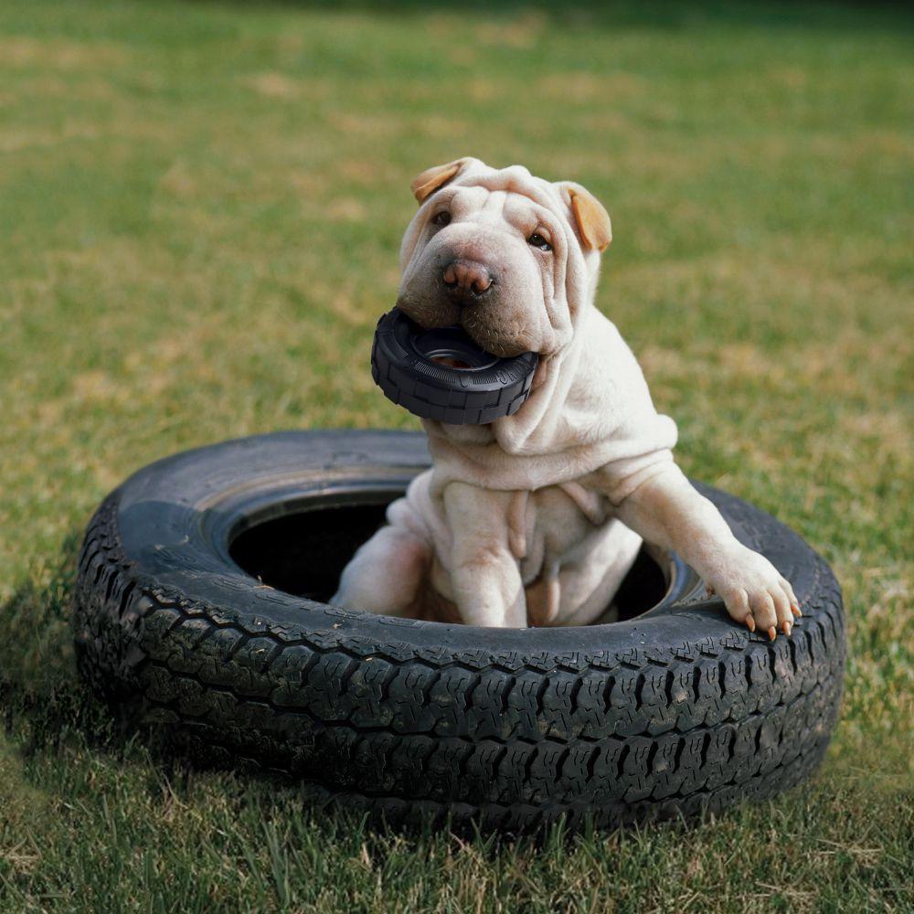 KONG, KONG Extreme Tires Hundespielzeug