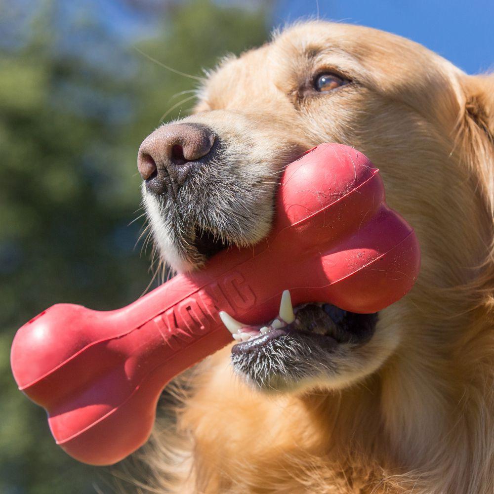 KONG, KONG Goodie Bone Hundespielzeug