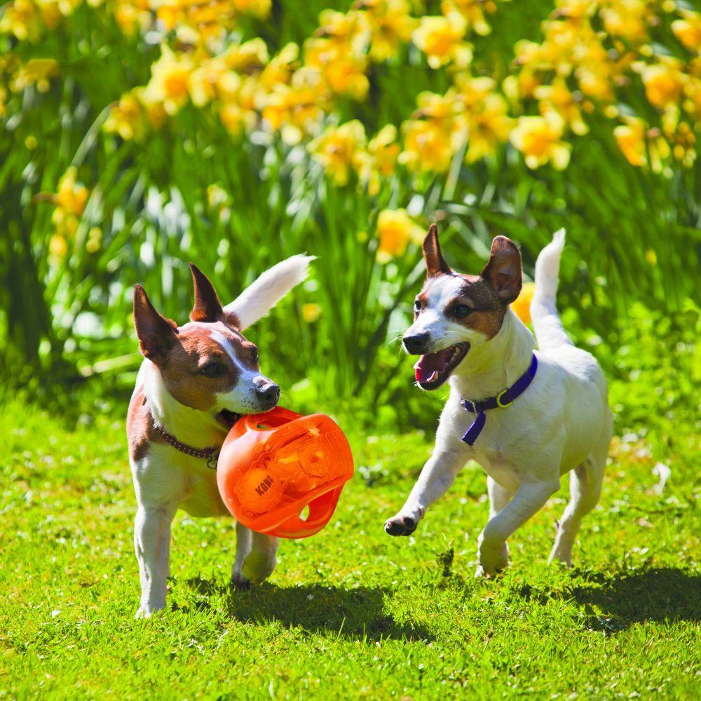 KONG, KONG Jumbler Ball Hundespielzeug