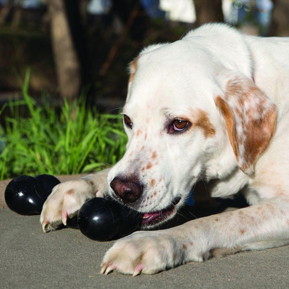 KONG, KONG Puppy Goodie Bone Hundespielzeug