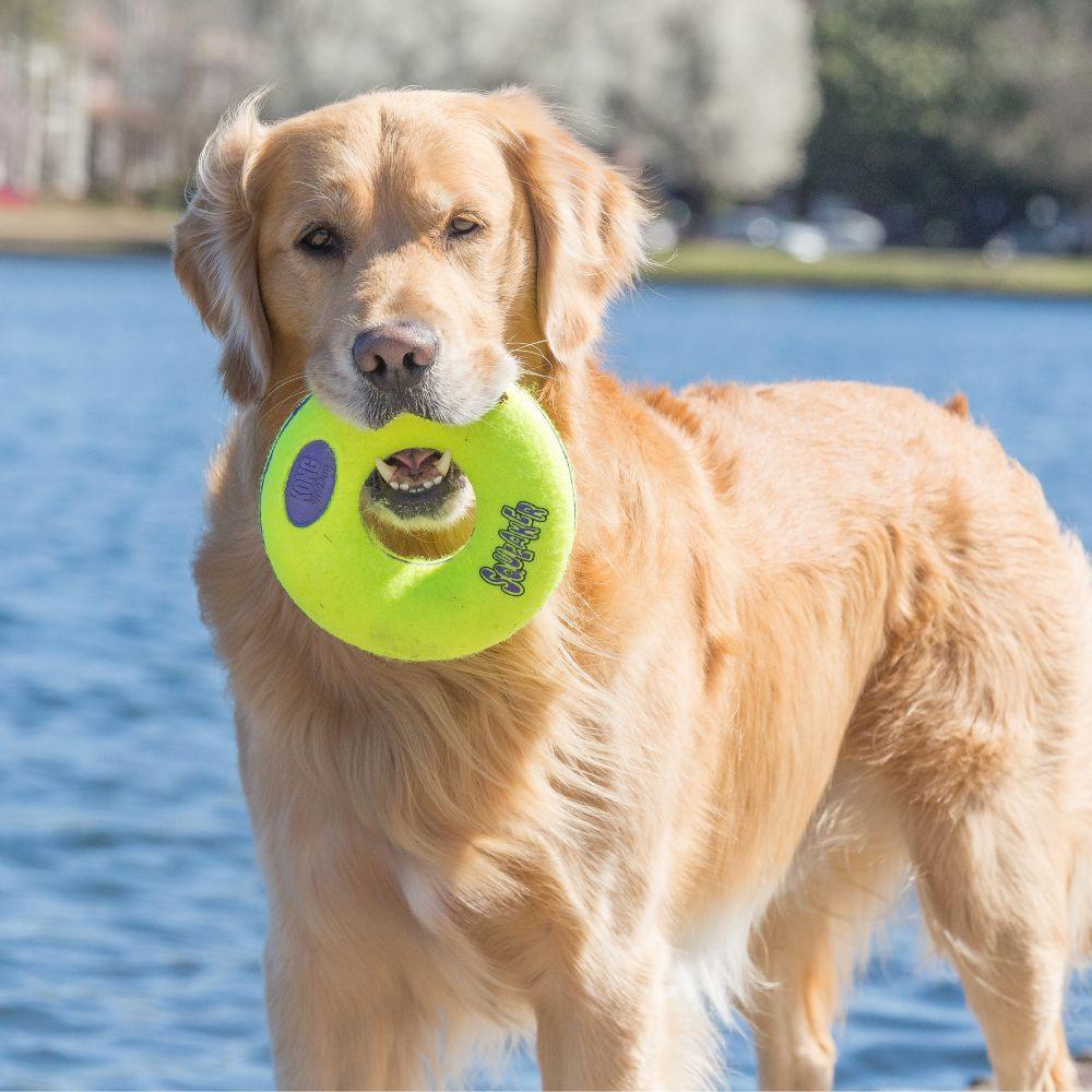 KONG, KONG Squeaker Donut Hundespielzeug