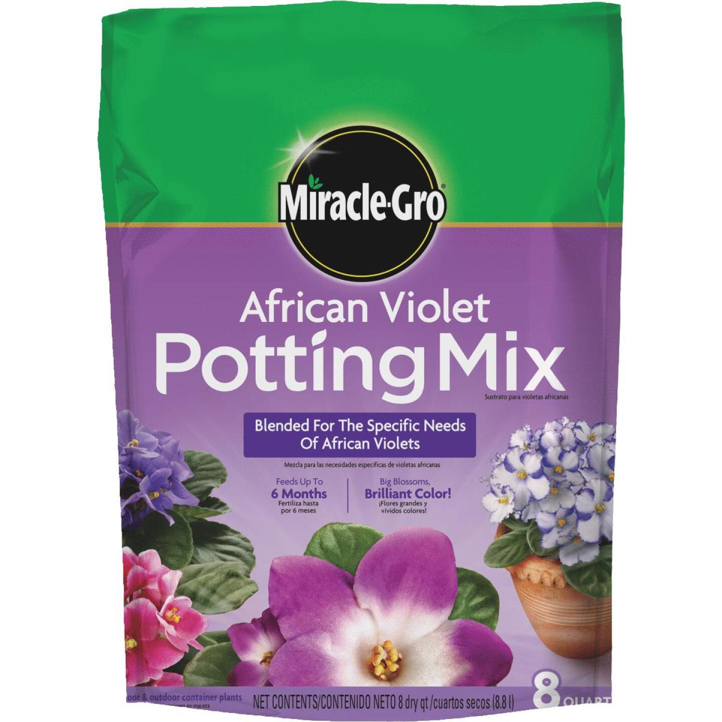 Miracle Gro, Miracle-Gro 8 Qt. 7 Lb. Container Afrikanisches Veilchen Blumenerde