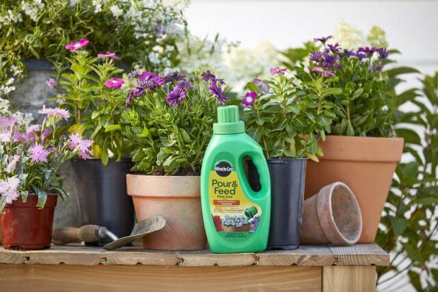 Miracle Gro, Miracle-Gro® Pour & Feed Pflanzennahrung