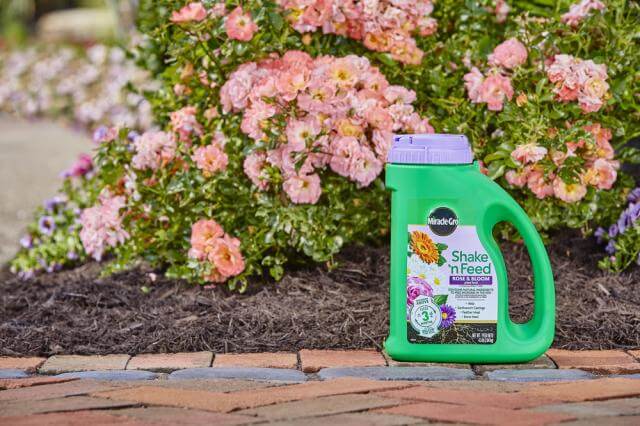 Miracle Gro, Miracle-Gro® Shake 'n Feed® Rose & Bloom Pflanzennahrung