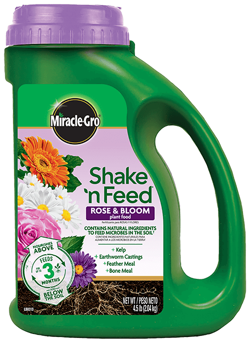 Miracle Gro, Miracle-Gro® Shake 'n Feed® Rose & Bloom Pflanzennahrung