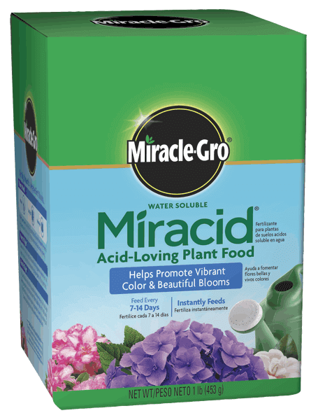 Miracle Gro, Miracle-Gro® Wasserlösliche Miracid® säureliebende Pflanzennahrung