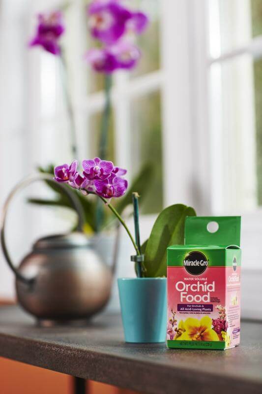 Miracle Gro, Miracle-Gro® Wasserlösliche Orchideennahrung