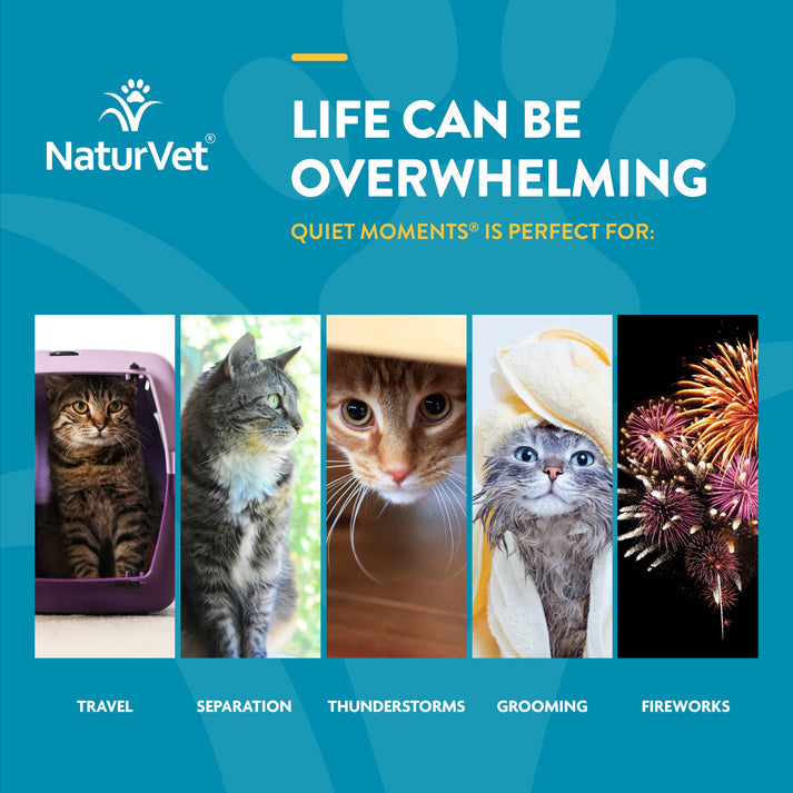 naturvet, NaturVet Scoopables Quiet Moments® Beruhigungsmittel für Katzen