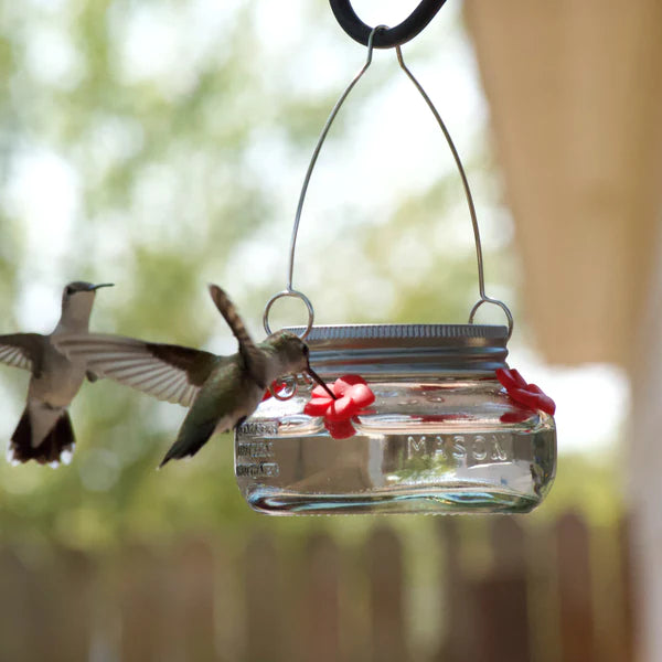 Art und Weise der Natur, Nature's Way Einmachglas-Kolibri-Futterhaus