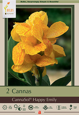 Netherland Bulb Company, Niederländische Blumenzwiebel-Gesellschaft Canna Lily 'CannaSol® Happy Emily'