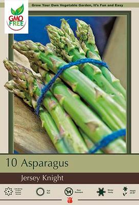 Netherland Bulb Company, Niederländische Blumenzwiebelgesellschaft Asparagus officinalis 'Jersey Knight'