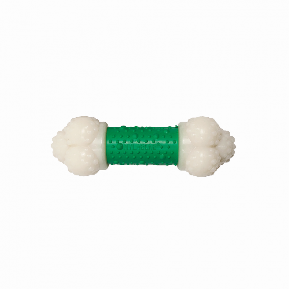 Nylabone, Nylabone DuraChew Double Action Chew Speck-Geschmack Hundespielzeug