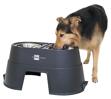 OurPets, Our Pets Healthy Pet Diner 12" Schwarz