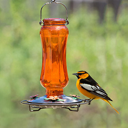 Perky-Pet, Perky-Pet® Carnival Glass Vintage Oriole Feeder - 16 oz Nektar Kapazität