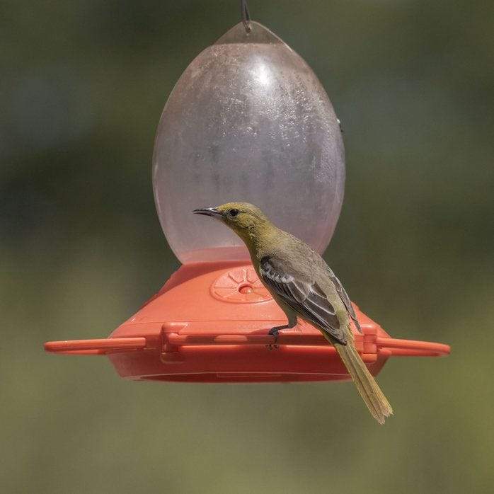 Perky-Pet, Perky-Pet® Oriole-Futterautomat aus Kunststoff