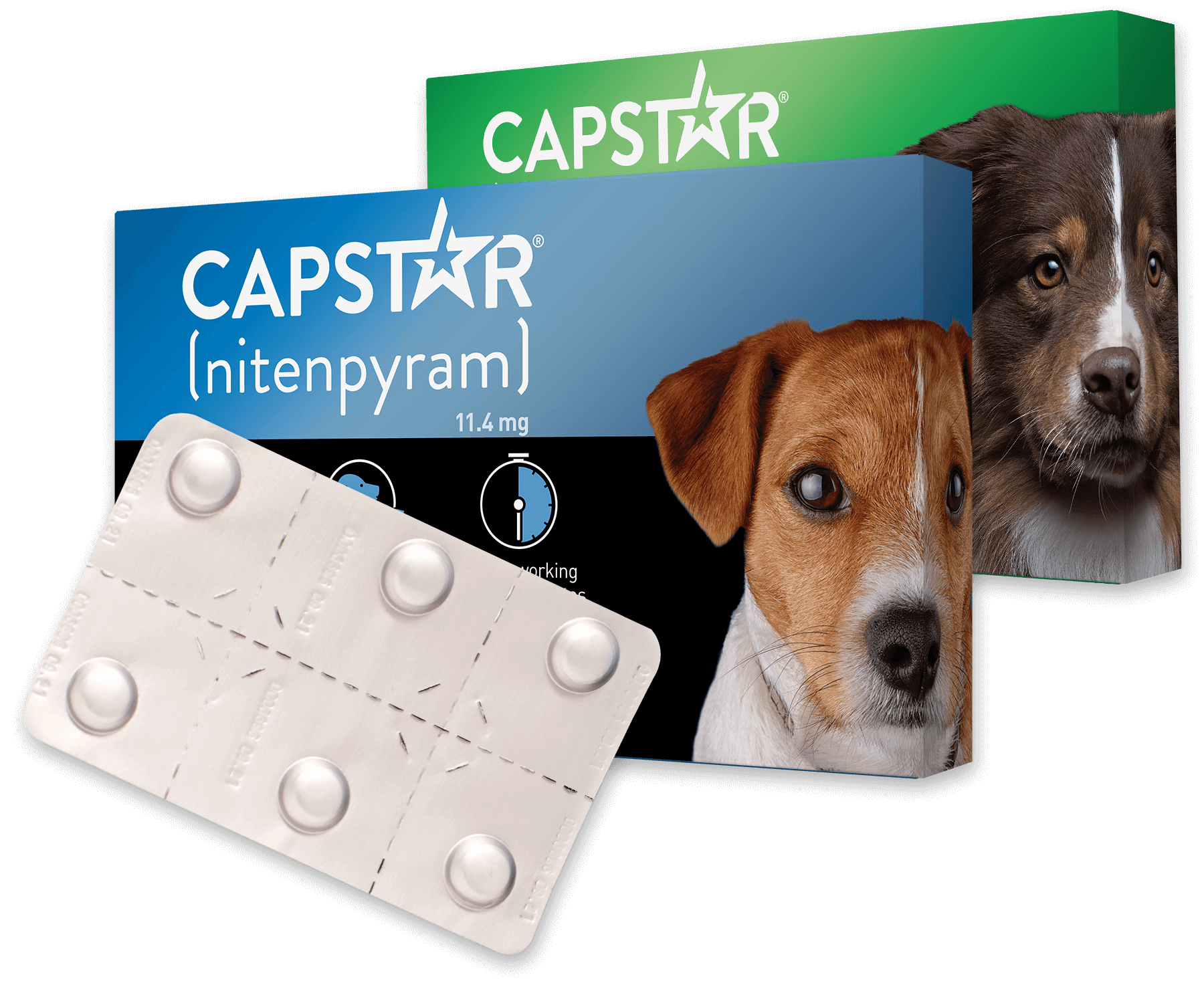 PetIQ, PetIQ CAPSTAR® (Nitenpyram) Schnell wirksame orale Flohbehandlung für Hunde