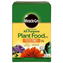 Miracle Gro, Pflanzennahrung, wasserlöslich, 24-8-16 Formel, 1-Lb.