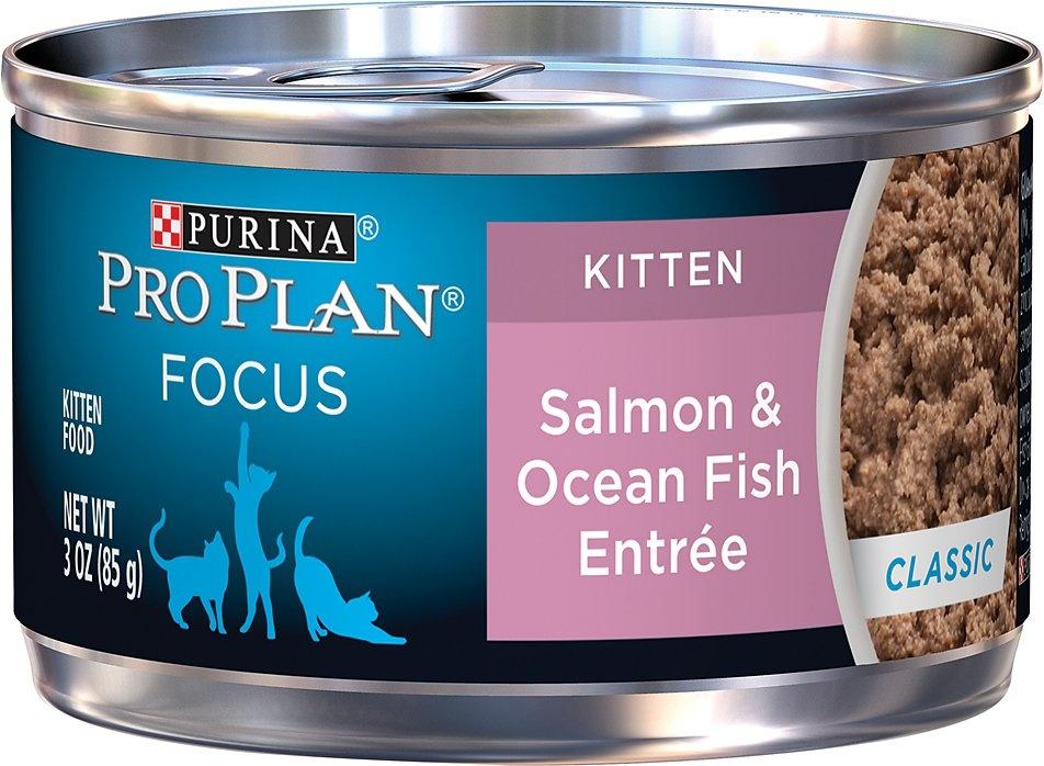 Purina Pro Plan, Purina Pro Plan Focus Kitten Classic Lachs & Meeresfisch Entree Katzenfutter in Dosen