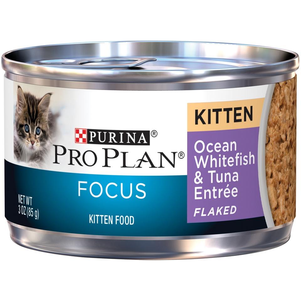 Purina Pro Plan, Purina Pro Plan Focus Kitten Ocean Whitefish und Thunfisch Entree in Flockenform Dosenfutter für Katzen