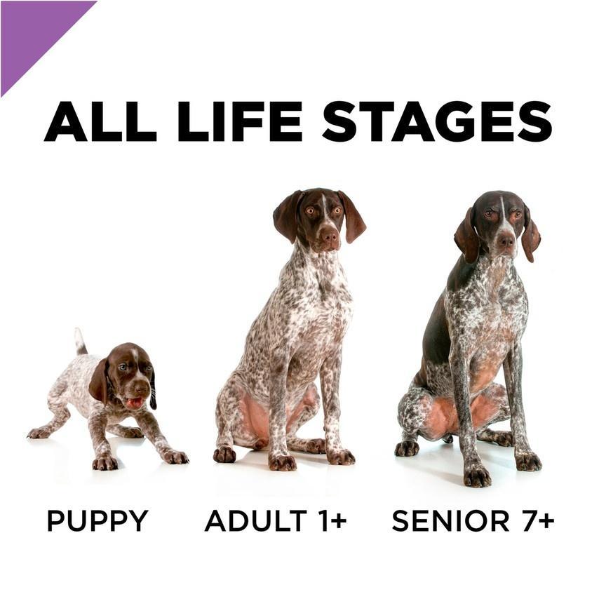 Purina Pro Plan, Purina Pro Plan Sport All Life Stages Performance 30/20 Formula Trockenfutter für Hunde