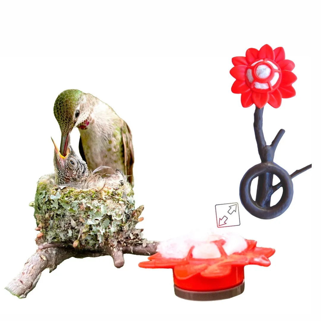 Quackups, QuackUps Hummingbird Home™ mit Nesting-Fasern